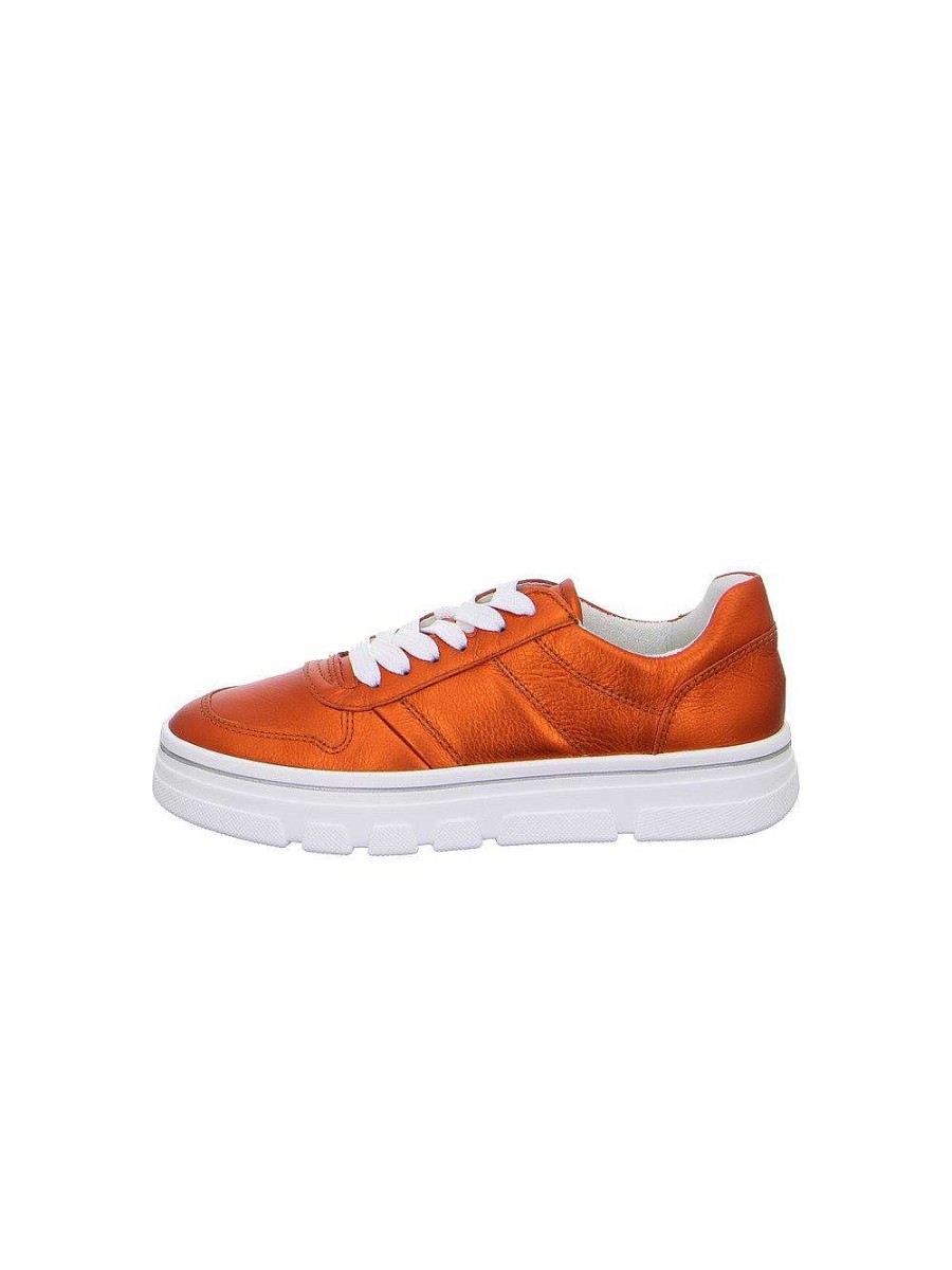 ara Schnurer | Schnurer Canberra Amber