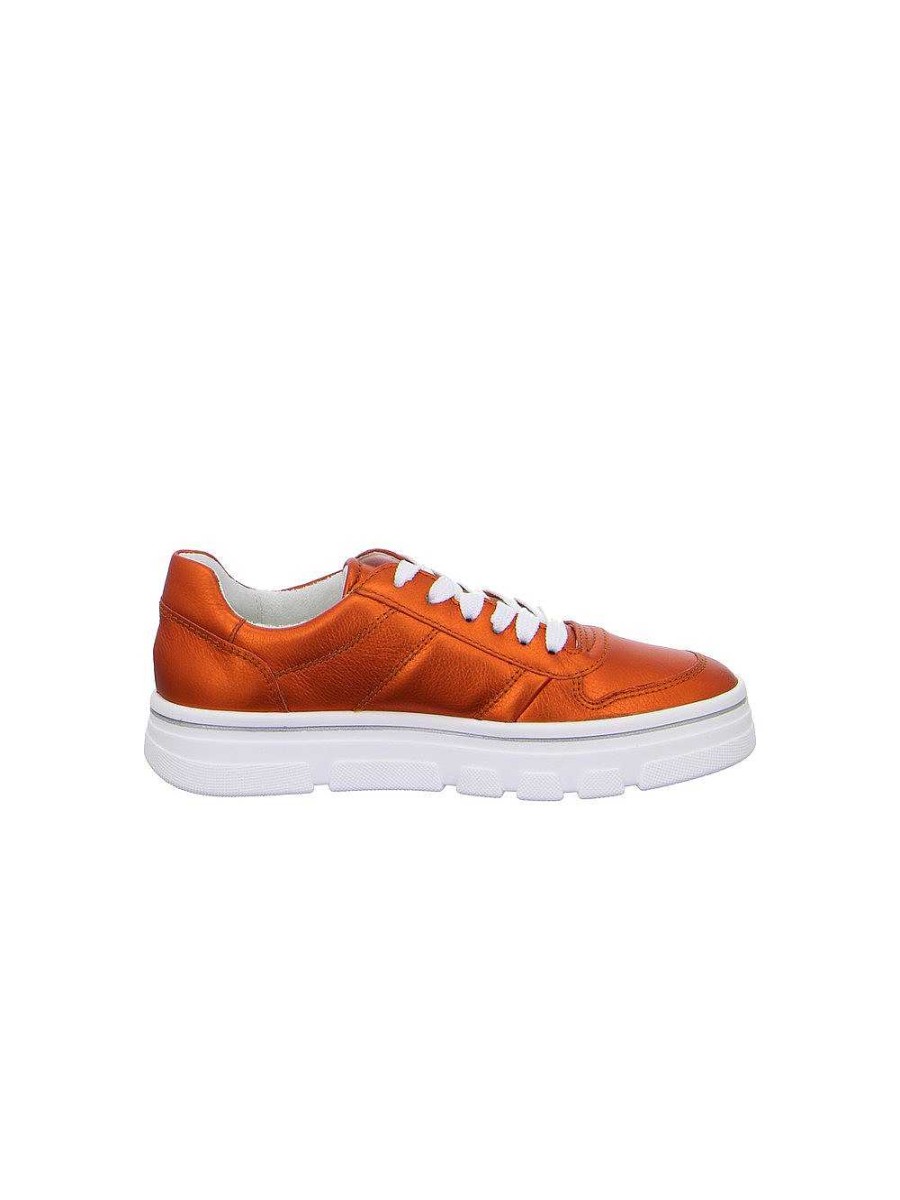 ara Schnurer | Schnurer Canberra Amber